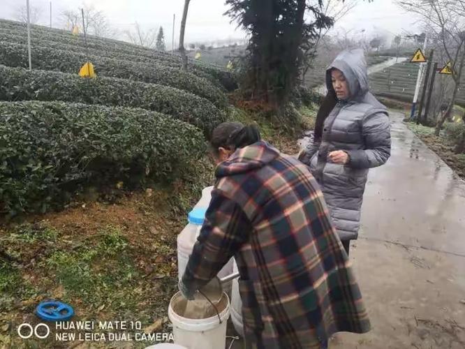 贵州三安生物技术推广服务 创新驱动，技术推广服务的黔地实践